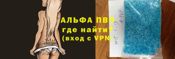 спиды Богданович