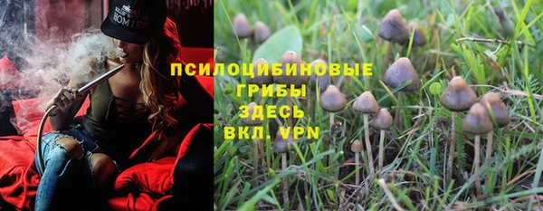спиды Богданович