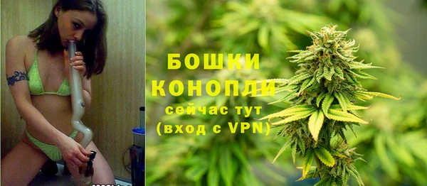 спиды Богданович